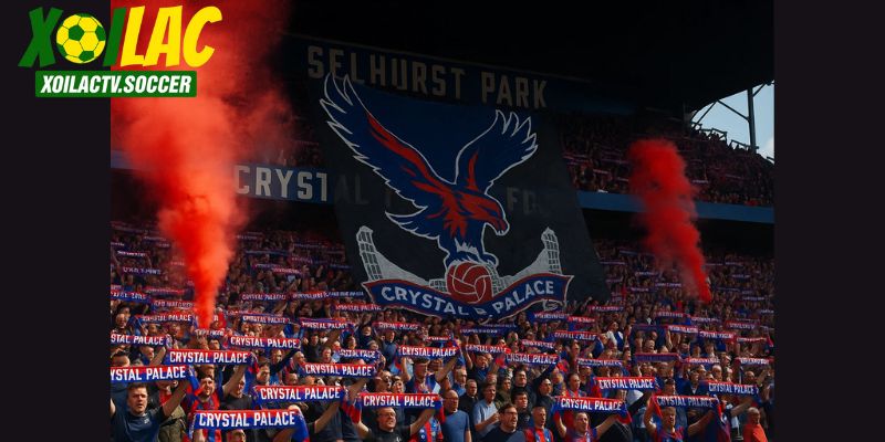 CĐV Crystal Palace chuẩn bị “biển cờ” để thách thức Liverpool